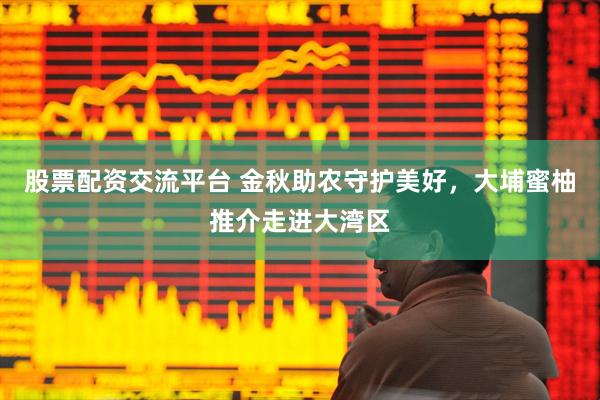 股票配资交流平台 金秋助农守护美好，大埔蜜柚推介走进大湾区