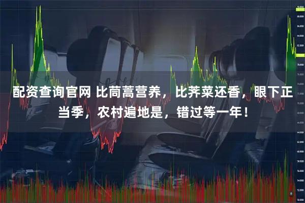 配资查询官网 比茼蒿营养，比荠菜还香，眼下正当季，农村遍地是，错过等一年！